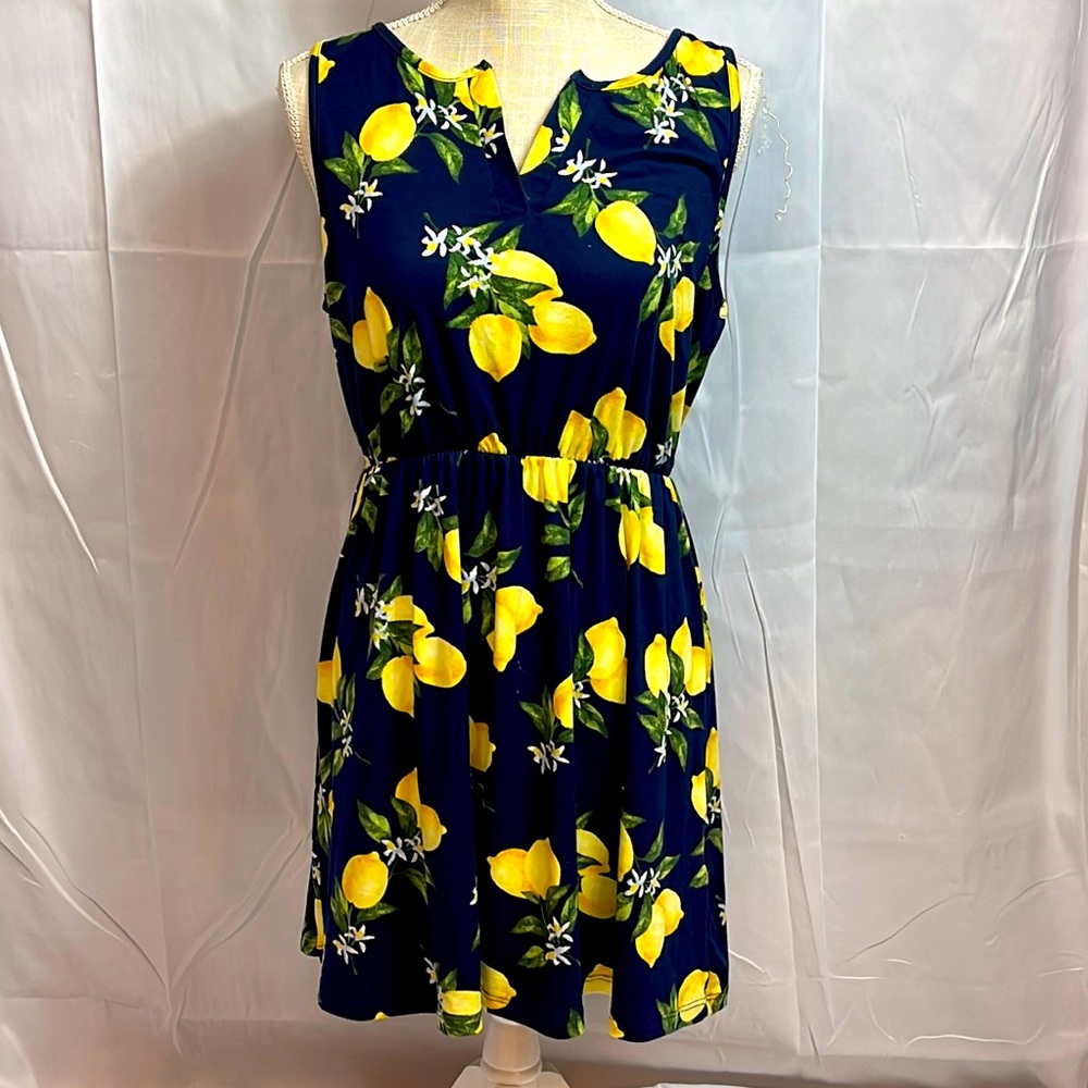 French Grey ladies, spring dress. Size large size large